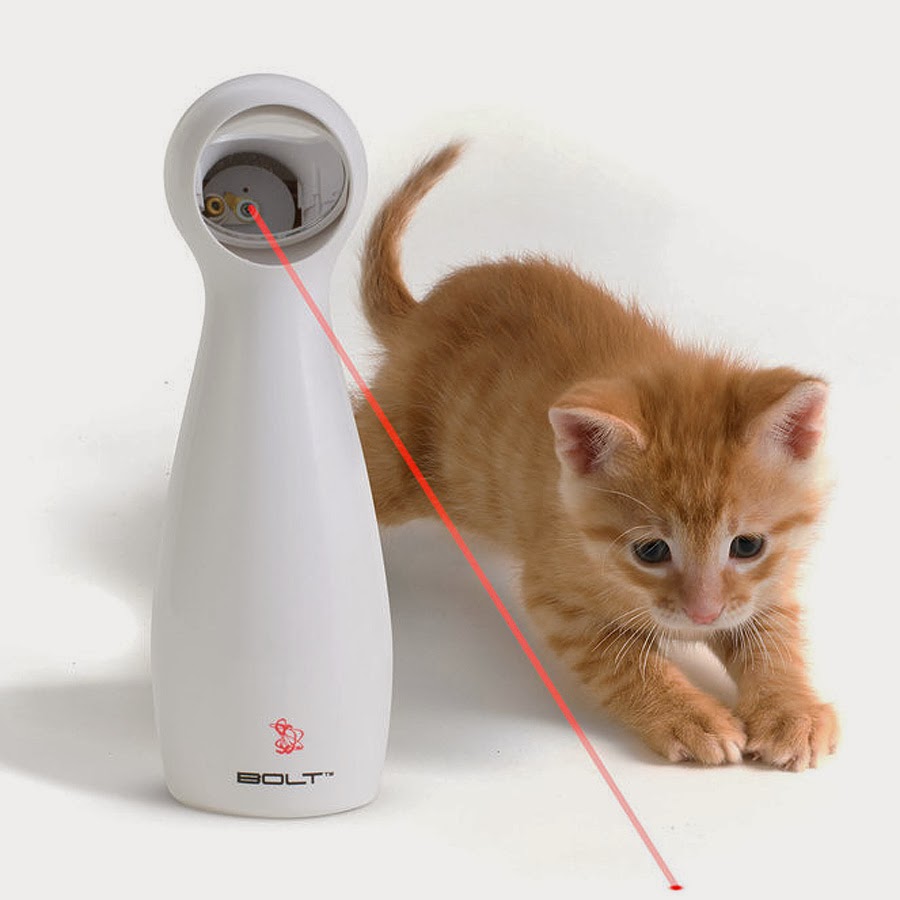 Puntatori laser: sono davvero un buon gioco per Micio? - Centro di cultura  felina - Tutto sul comportamento del gatto