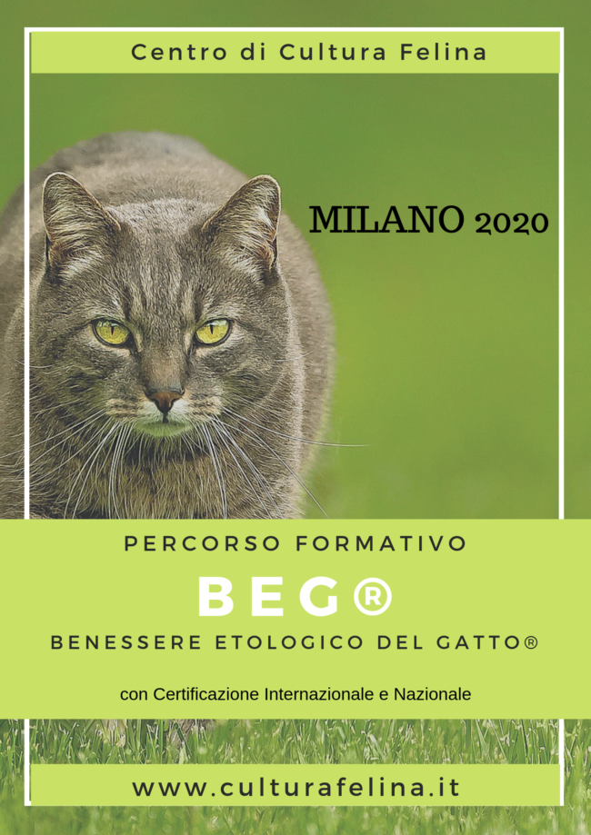 CORSO DI ETOLOGIA FELINA
