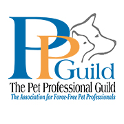 PPGuild