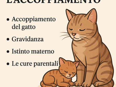 L’istinto di mamma gatta