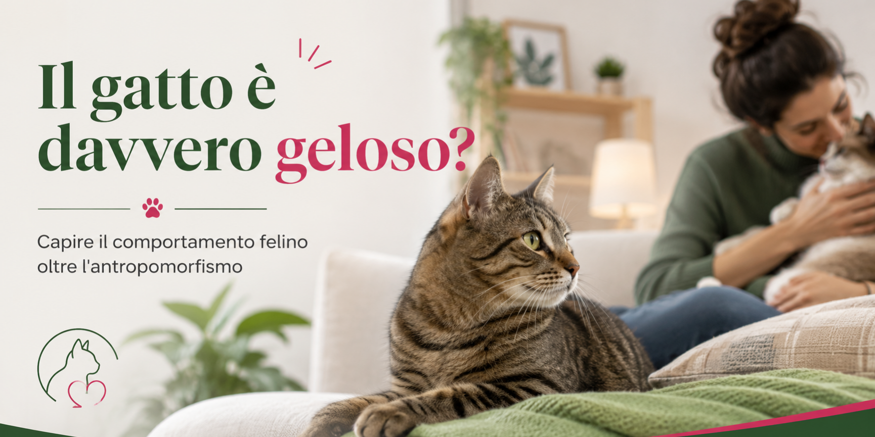 Il gatto è davvero geloso?